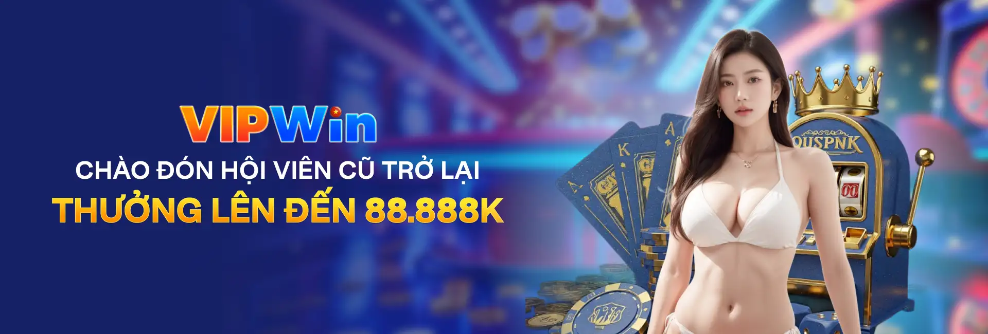 Banner VIPwin