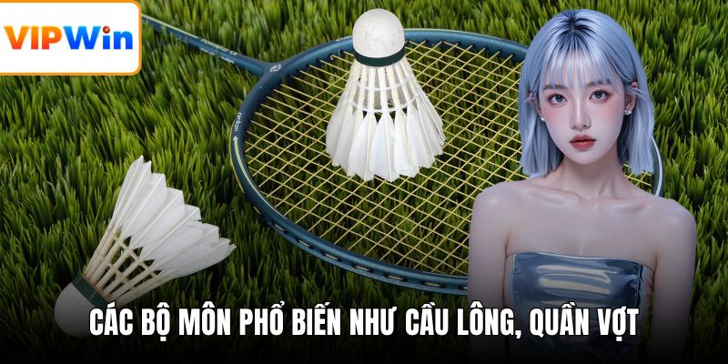 Các bộ môn phổ biến như cầu lông, quần vợt