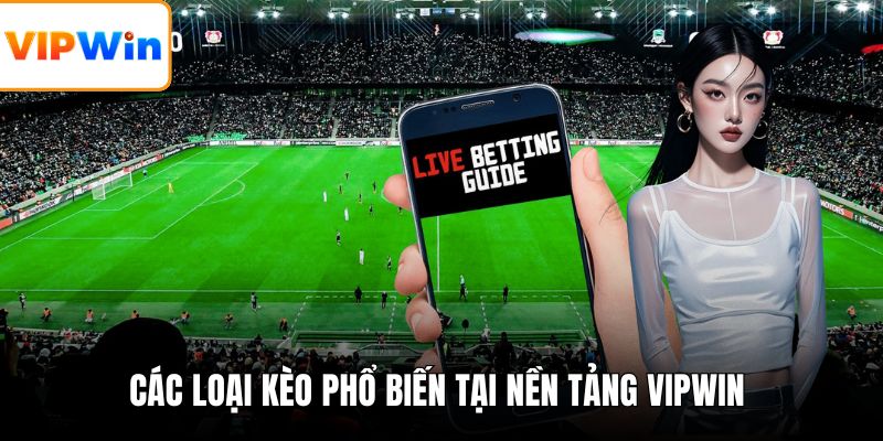 Các loại kèo phổ biến tại nền tảng VIPWIN