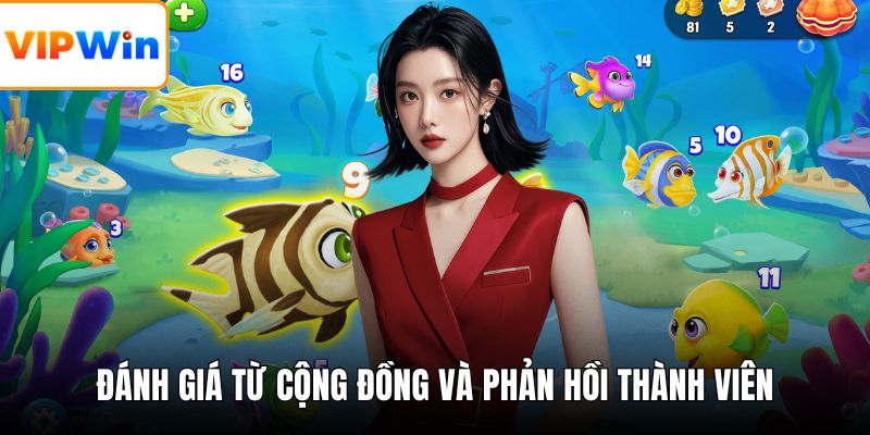 Đánh giá từ cộng đồng và phản hồi thành viên