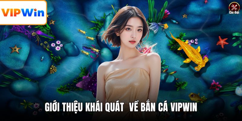 Giới thiệu khái quát về bắn cá VIPWIN