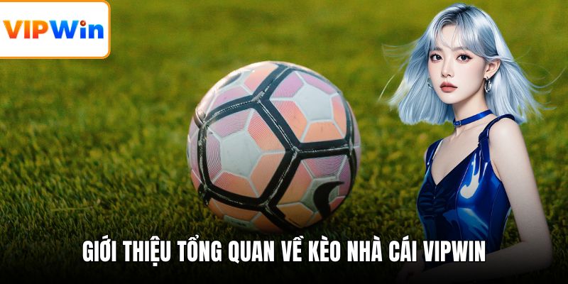 Giới thiệu tổng quan về kèo nhà cái VIPWIN