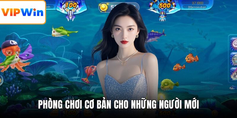 Phòng chơi cơ bản cho những người mới