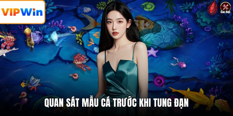 Quan sát mẫu cá trước khi tung đạn
