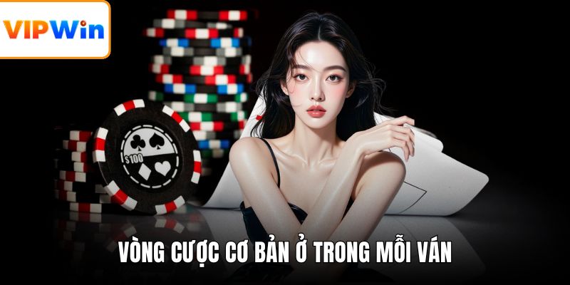 Vòng cược cơ bản ở trong mỗi ván